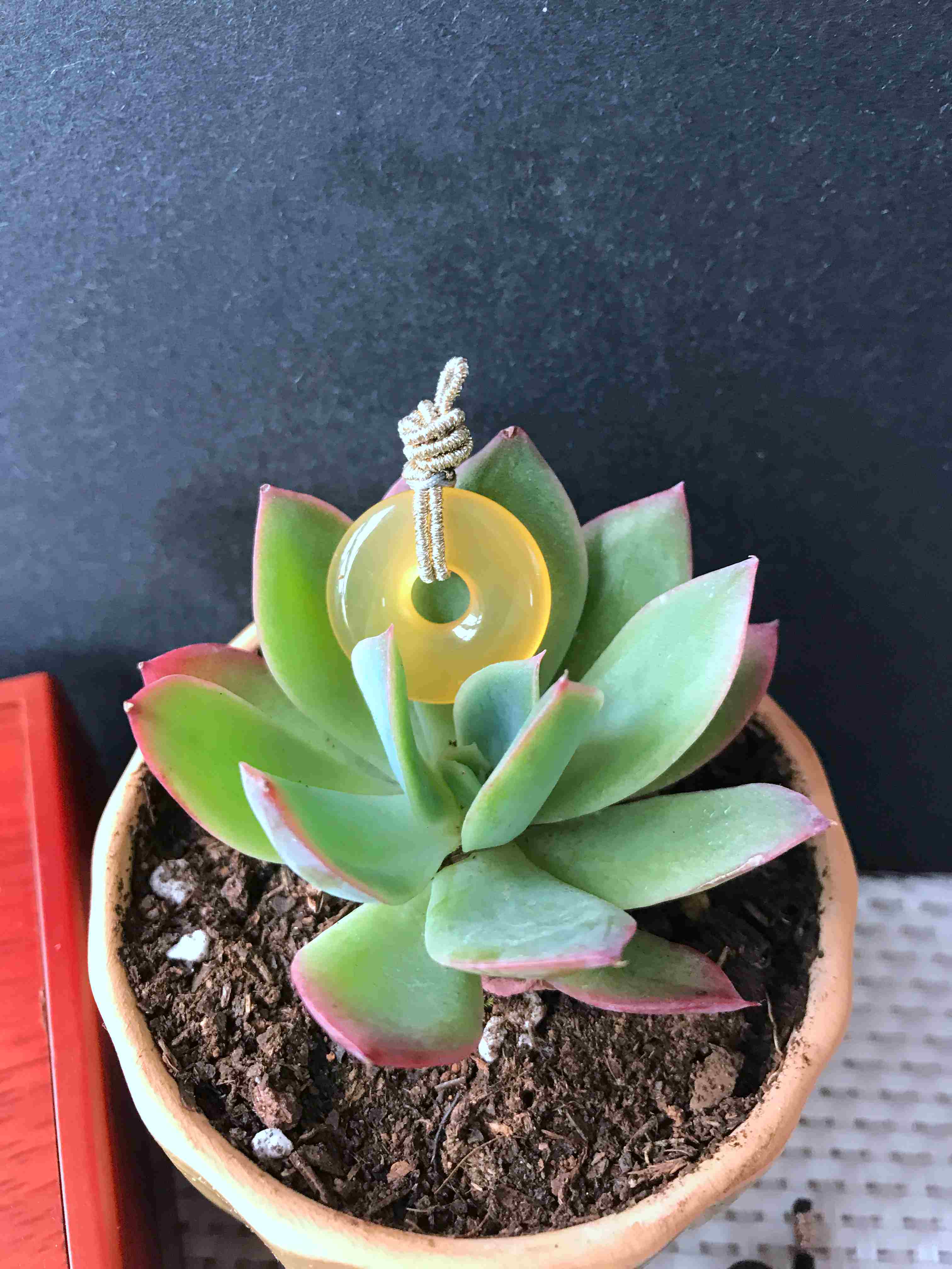 Yunnan Huanglong jade Burmese material safety buckle