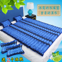 Water bed double water mattress household summer cooling ice pad inflatable water injection dual-use water pad summer artifact big wave