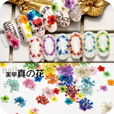 Nail dry flower accessories Japanese 3d real flower color five-petal flowers full set of mixed nail decorations Nail polish glue
