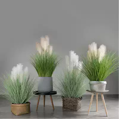 (Mi Yang)Simulation reed grass Large bonsai reed grass water candle decoration decoration green plant window display