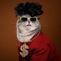 Pet cat glasses cat sunglasses retro cool cat funny photo props cat with personality accessories dog