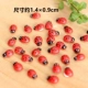 Семь звездных божьей коровки 30