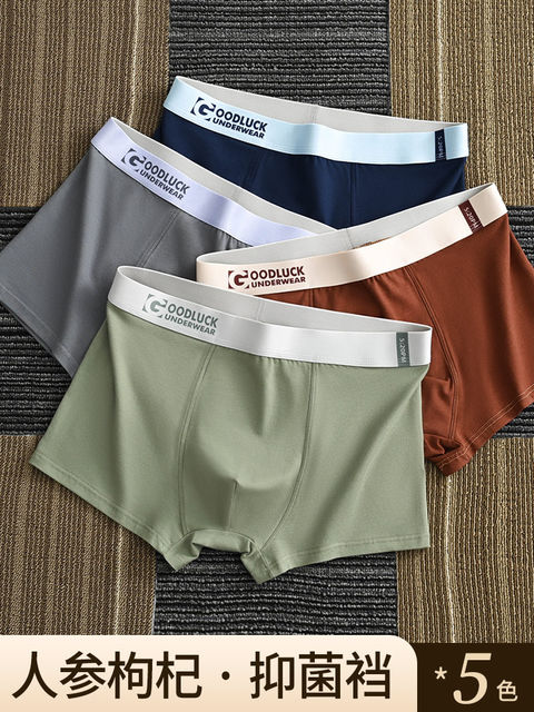 Men's underwear pure cotton 2024 new boys autumn and winter temperature-changing antibacterial crotch boxer shorts teenagers boxer briefs