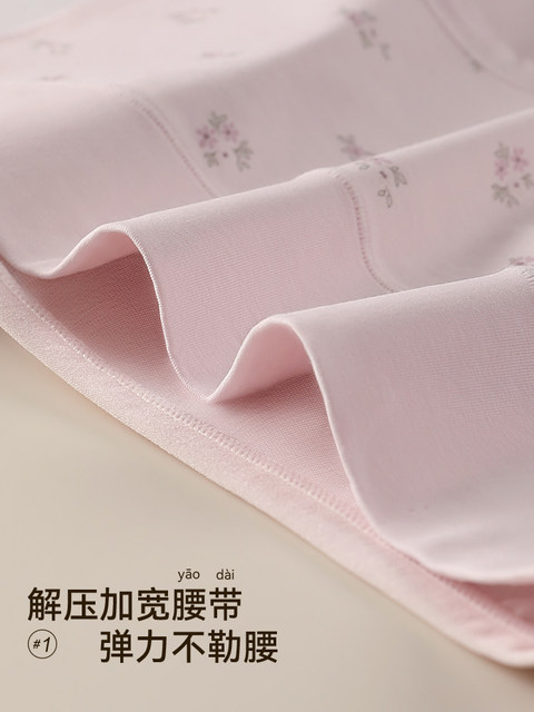 Mid-High Waist Underwear for Women 2024 New Style Pure Cotton Antibacterial Sexy Nude Feel Sweet Style Girl Student Triangle Shorts