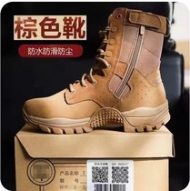 Jihua genuine brown combat official mens training boots wear-resistant side zipper training outdoor mountaineering security desert boots