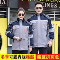 Тибетский синий бой серый