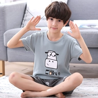 Мальчик с коротким рукавом