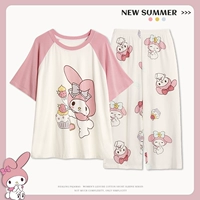 CMG31647 Meiledi [Cool Modal]