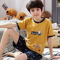 С короткими рукавами два маленьких свиней