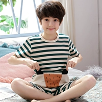 Фокс-мальчик с короткими рукавами