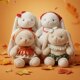 Genuine Autumn Manduo Bunny Doll Cute Doll Plush Toy Soothing Rag Doll Children's Birthday Gift for Women