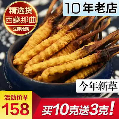 10 grams to 3 grams] Selected] Cordyceps sinensis Tibet Nagqu 4 roots 1 gram insect head grass hay Qinghai