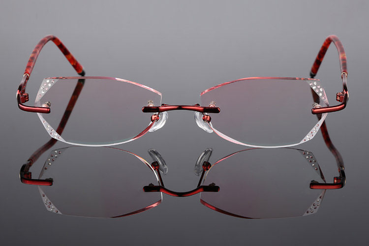 Montures de lunettes en Tole - Ref 3139673 Image 20