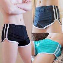 Underpants men's Aro pants ice silk mesh boxer pants youth trend personality summer loose breathable four-cornered pants head