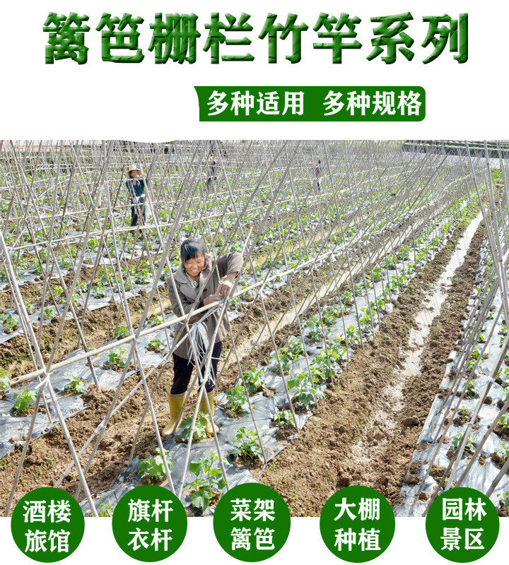 手工菜园搭架蔬菜黄瓜番茄豆角架杆竹篱笆栅栏小竹子细竹木爬藤架-阿里巴巴