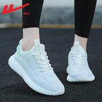 Cyan-0886 дышащая сетка, легкое и мягкое дно.