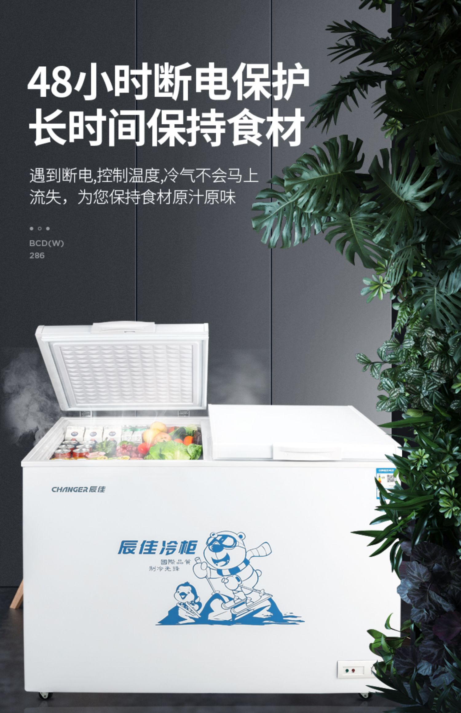THAY ĐỔI / 辰 BCD (W) -286 Máy làm lạnh nhiệt độ đôi tại nhà Thương gia Tủ đông lạnh ngang - Tủ đông tủ đông