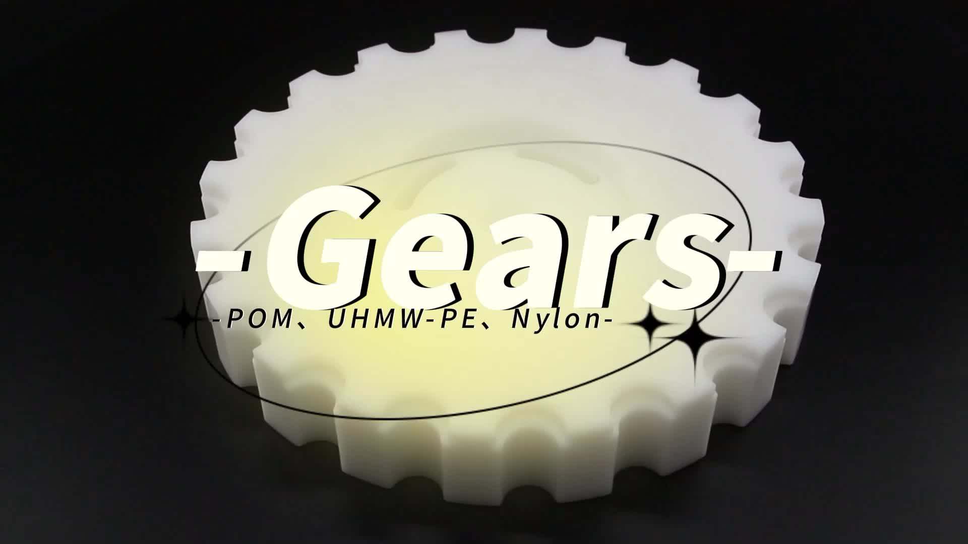 Customized Spur Gears Making Linear Pom Ptfe Delrin Plastic Tooth Gear