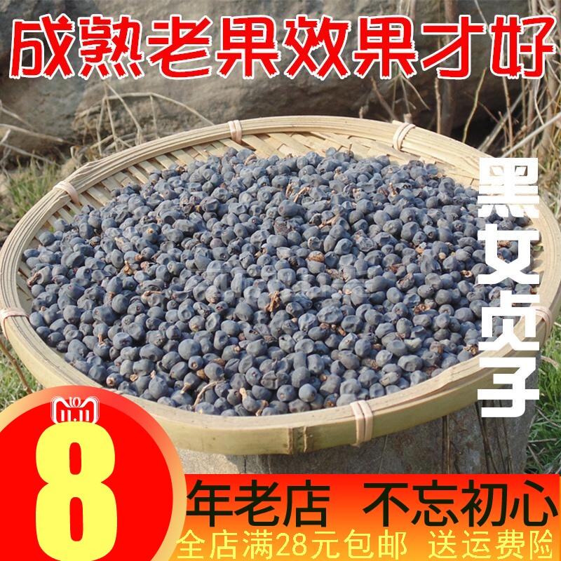 Wild Glossy Privet Ripe Glossy Privet Black Glossy Privet Black Glossy Privet Shampoo Hair Shampoo Bleachen Brewery With Dry Lotus Grass