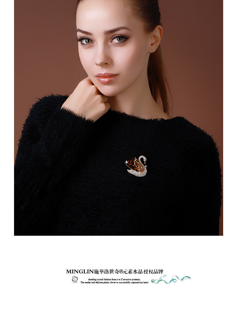 Broche femme en cristal autrichien - Ref 1187769 Image 7