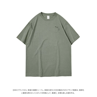 Зеленый самолет, короткий рукав