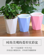 Colored diamond-shaped large fully transparent plastic fleshy green plant potted lazy plastic flowerpot automatic absorbent cotton rope