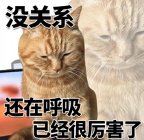 Special shot for repayment