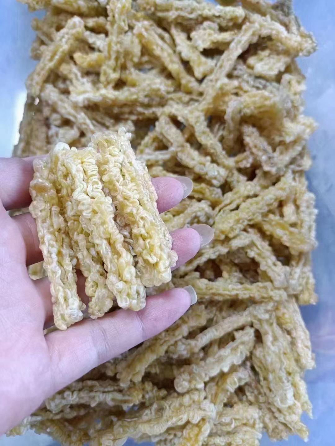 Snow clams oil Linwa oil line oil Zhengzong Changbai Mountain specie to dry up (25 gr) -Taobao