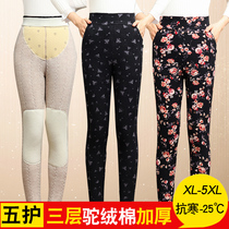 Plus velvet padded cotton pants for middle-aged and elderly mothers plus large size plus knee pads alpaca ladies warm pants