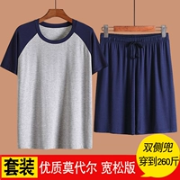 Модернизированная модель