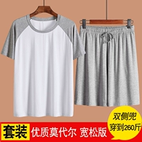 Модернизированная модель