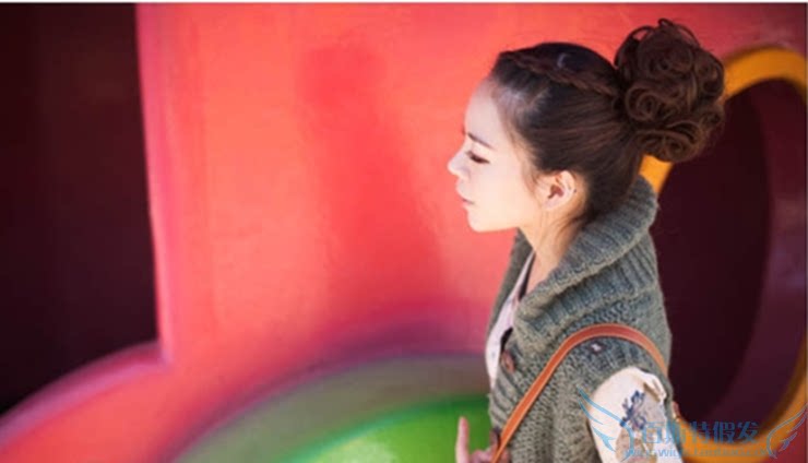 Extension cheveux - Chignon - Ref 247973 Image 26