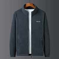 Глубоко серая традиционная модель