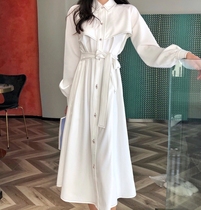 Early autumn 2021 New thin high-end socialite temperament long skirt winter long sleeve dress Womens Spring
