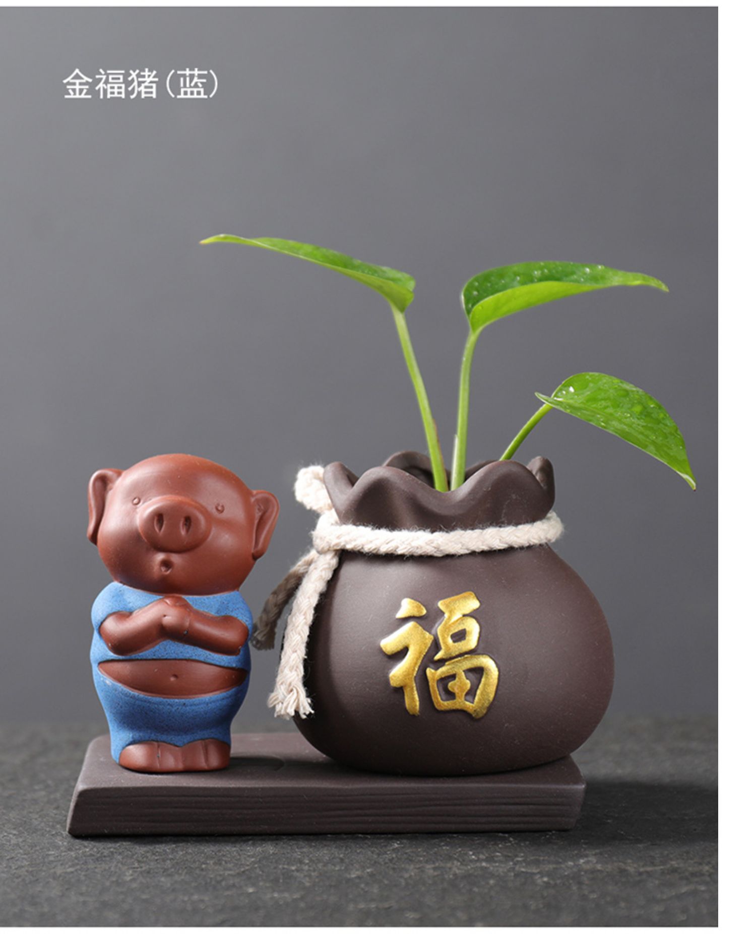 Hoa sáng tạo phước lành lợn Năm mới đồ trang trí nhà sư nhỏ bàn trà xanh hoa bình hoa trang trí nhà thủy canh gốm - Vase / Bồn hoa & Kệ chậu trồng cây thông minh
