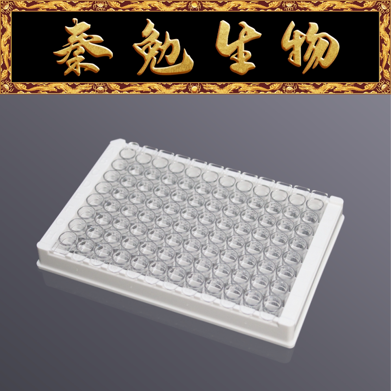 LABSELECT甄选 31121 96孔可拆酶标板 高结合力
