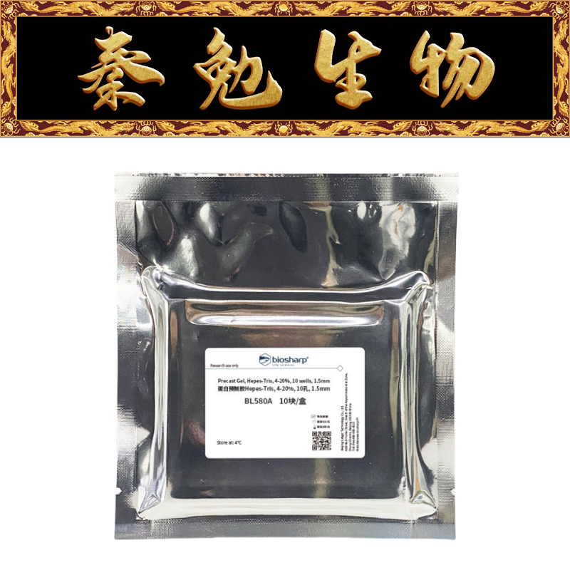 Biosharp白鲨 BL580A 蛋白预制胶Hepes-Tris,4-20％,10孔,1.5mm