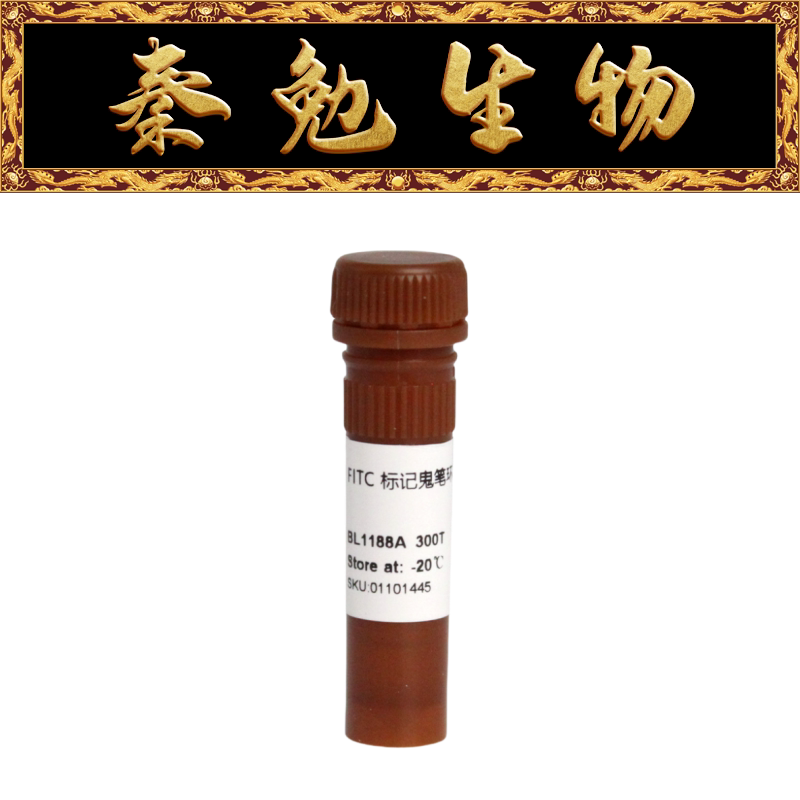 Biosharp白鲨 BL1188A Phalloidin FITC标记鬼笔环肽