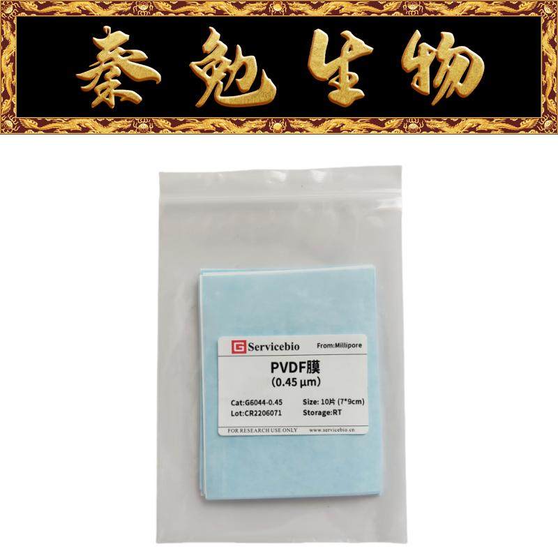 赛维尔 货号：G6044-0.45 PVDF膜（0.45&mu;m）7 cm&times;9 cm