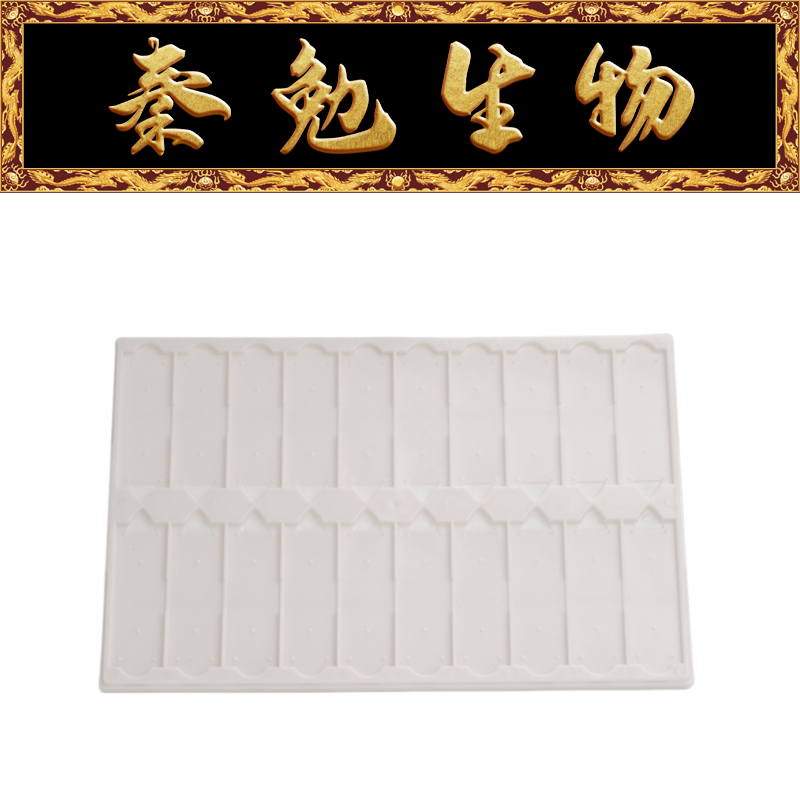 Biosharp白鲨 BS-SPT-020 晾片板（20片），白色