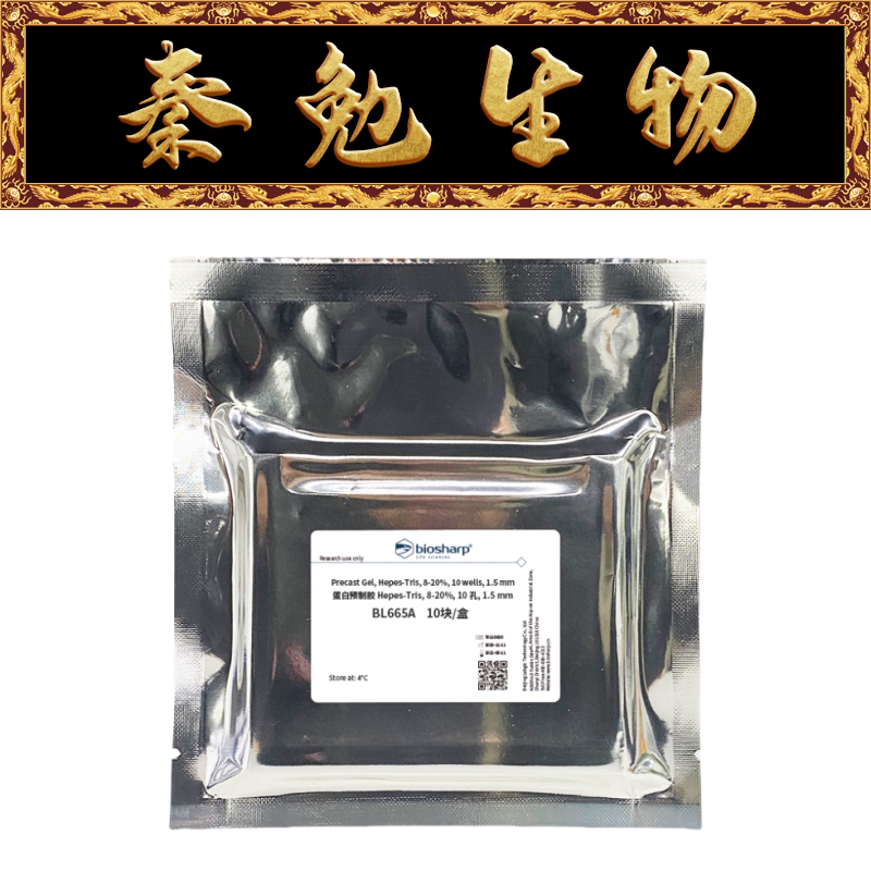 Biosharp白鲨 BL581A 蛋白预制胶Hepes-Tris,4-15％,10孔,1.5mm