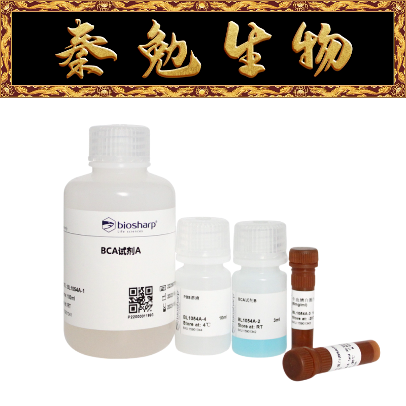 Biosharp白鲨 BL1054A BCA蛋白浓度测定试剂盒（增强型）