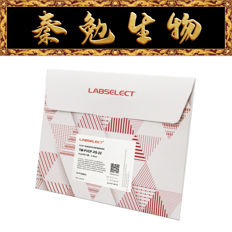 LABSELECT甄选 TM-PVDF-XS-22 PVDF转印膜,0.22&mu;m 7.4cmx8.5cm