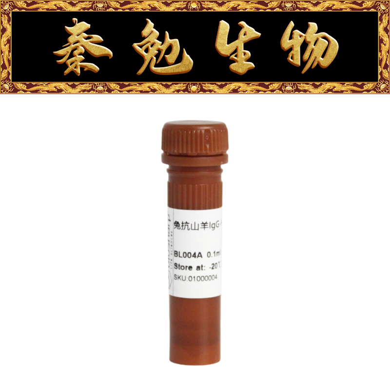 Biosharp白鲨 BL004A 兔抗羊IgG-HRP