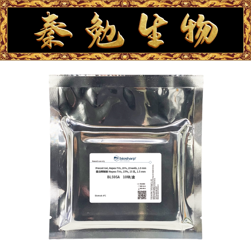 Biosharp白鲨 BL595A 蛋白预制胶Hepes-Tris 15％ 15孔 1.5 mm