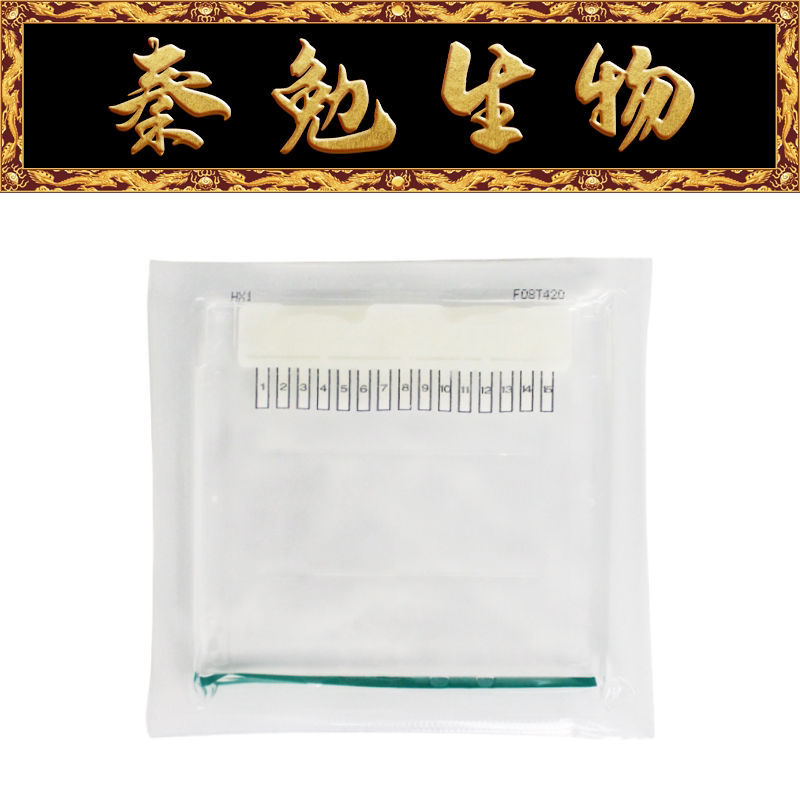 Biosharp白鲨 BL1002A 蛋白预制胶Tris-Gly, 12％ 15孔 1.0 mm