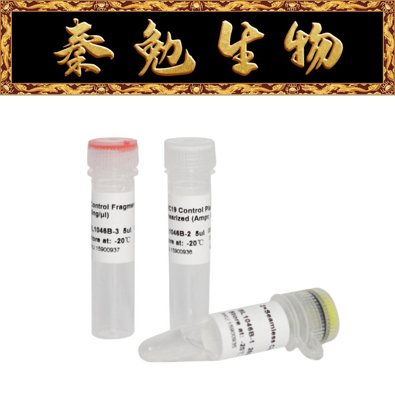 白鲨BL1046B 无缝克隆试剂盒 分子生物实验科研试剂 品牌Biosharp