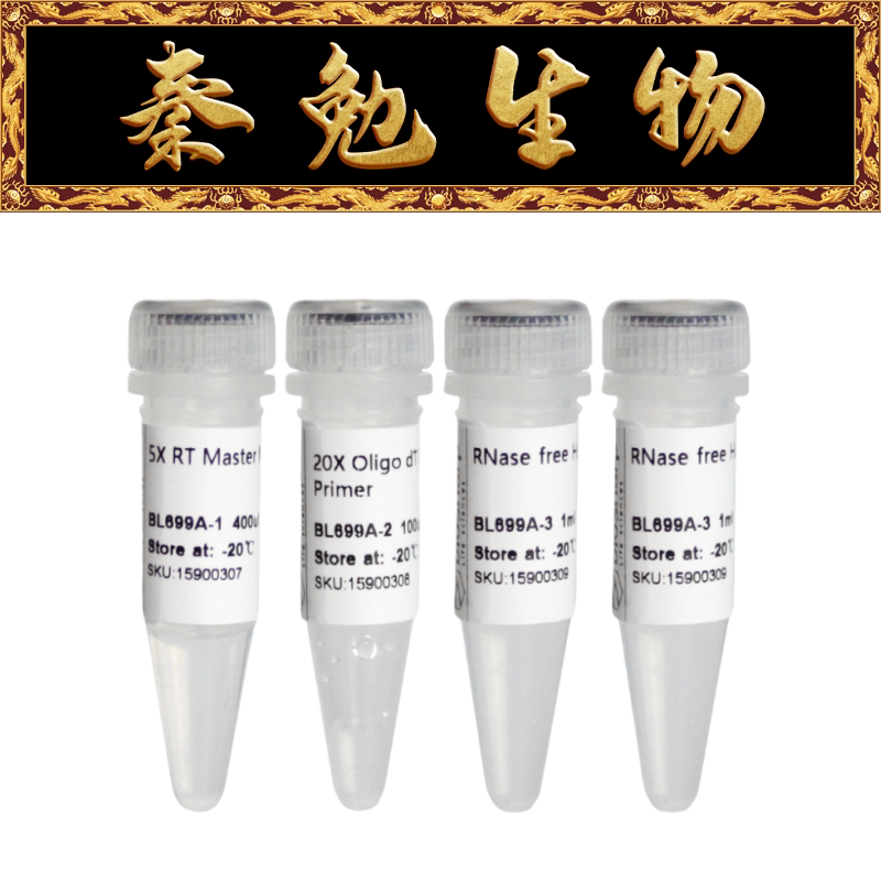Biosharp白鲨 BL699A 反转录试剂盒（含gDNA酶）