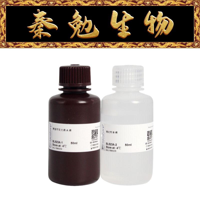 Biosharp白鲨 BL523A 超敏ECL化学发光底物