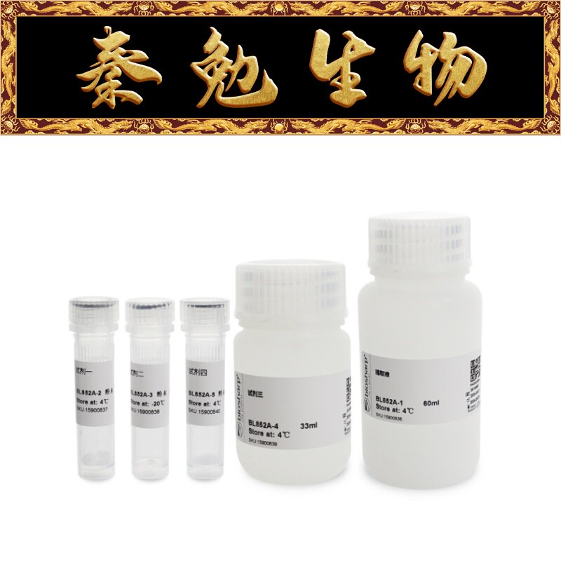 Biosharp白鲨 BL852A ATP含量试剂盒(酶法) 分光法